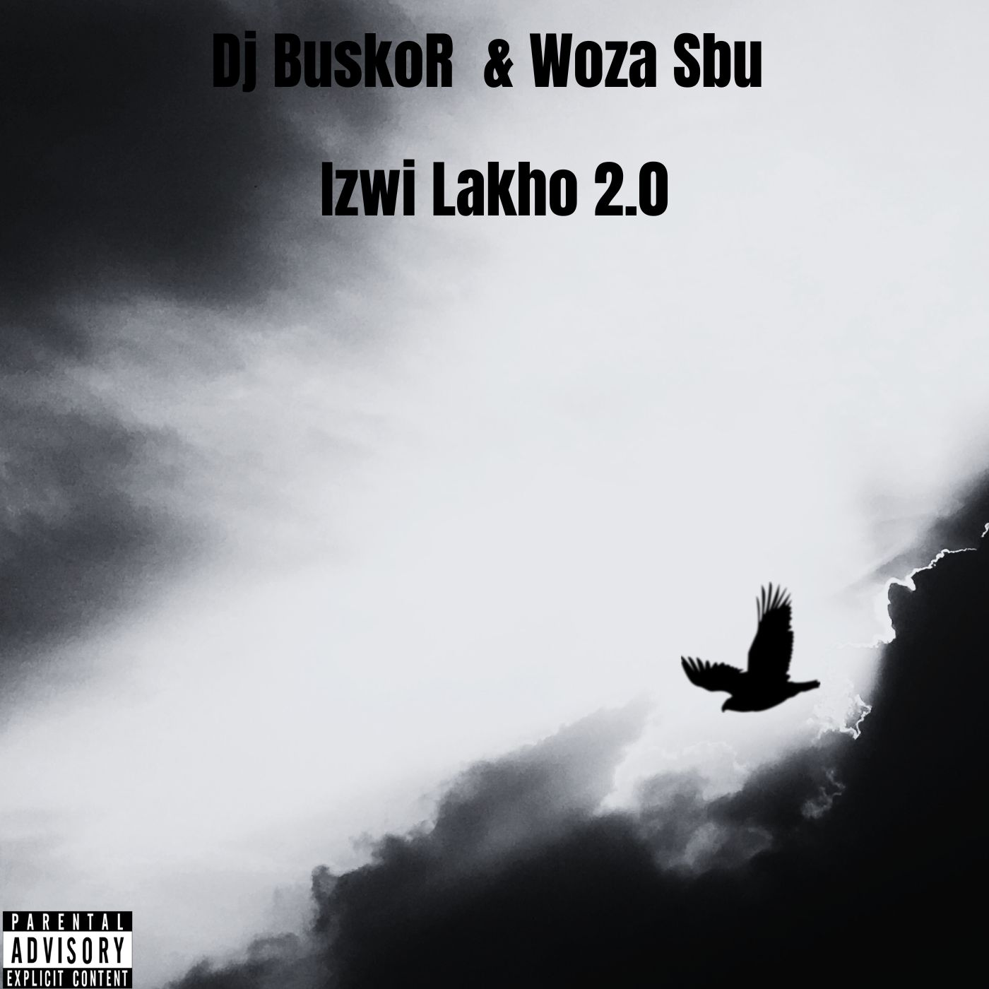 Izwi Lakho 2.0 - Dj BuskoR & Woza Sbu